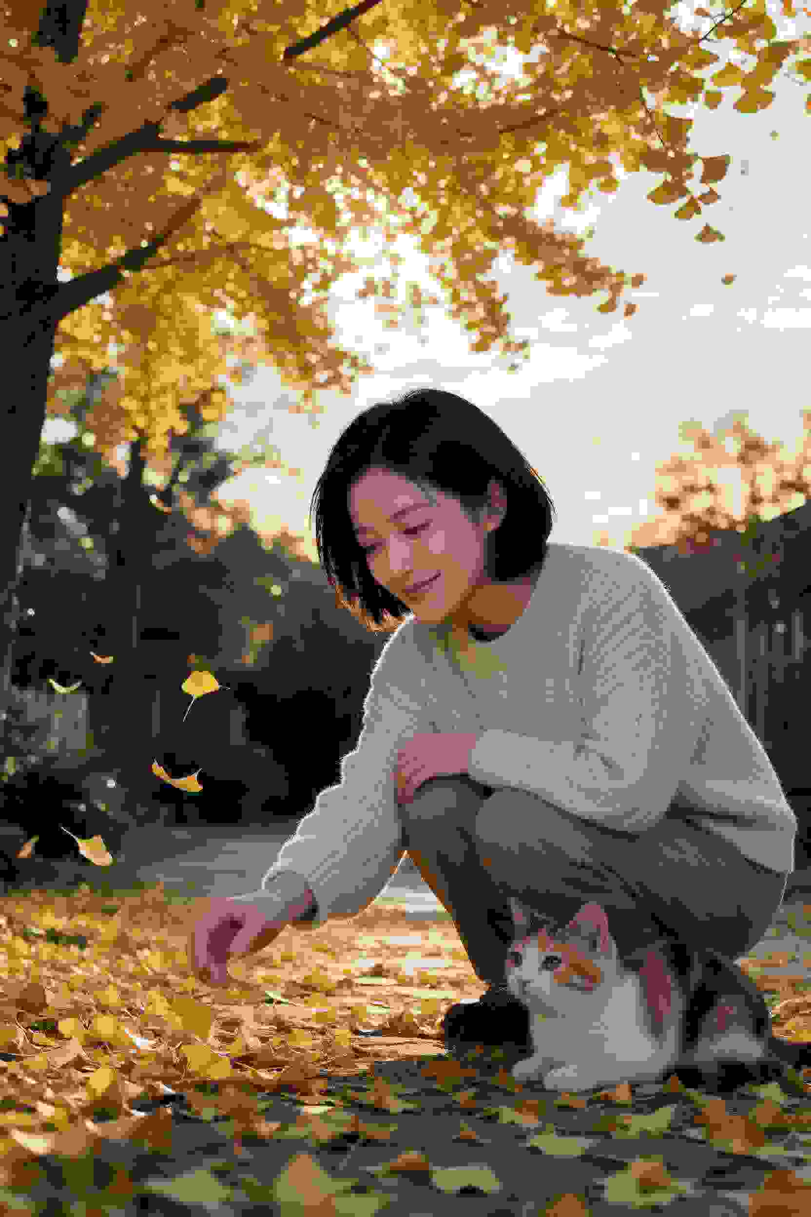 赘婿